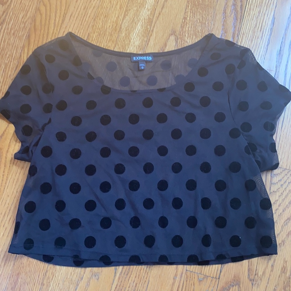 Express Black Mesh Sheer Velvet Crop Top - Twee